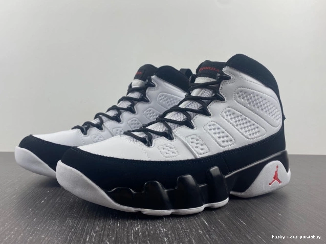 Rep Husky Air Jordan Space Jam OG 9 302370-112 0805